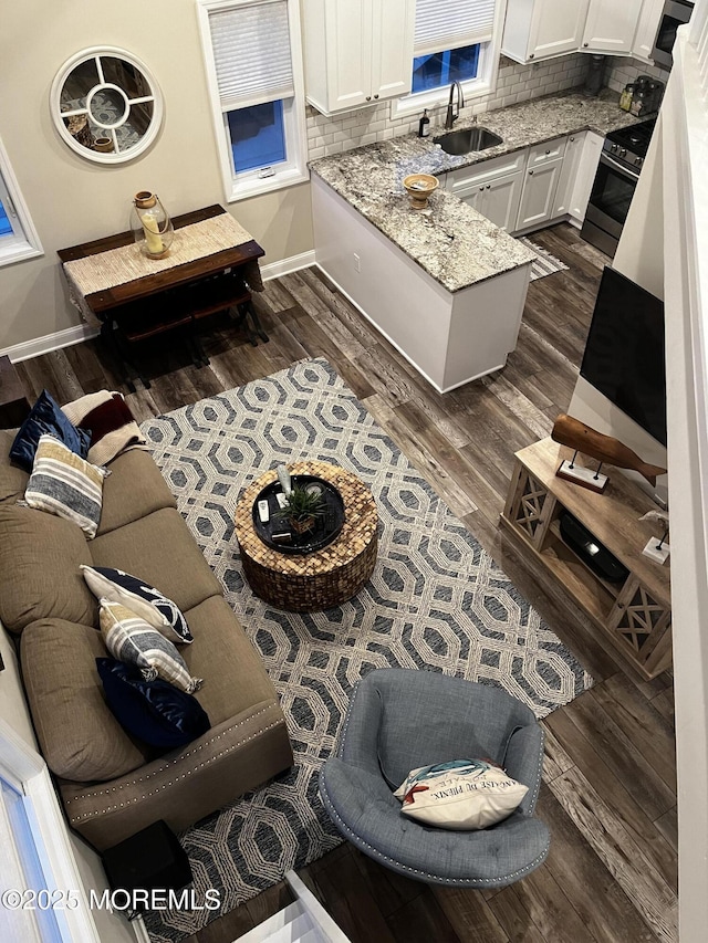 living room featuring sink and dark wood-type flooring