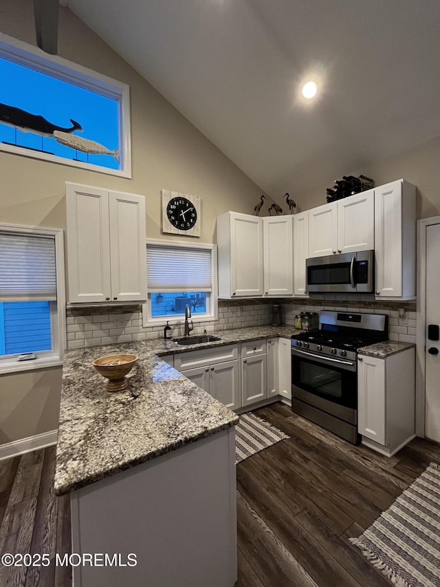 kitchen with sink, white cabinetry, light stone counters, appliances with stainless steel finishes, and dark hardwood / wood-style floors