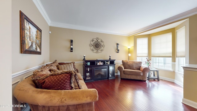 living room featuring dark wood-type flooring and ornamental molding