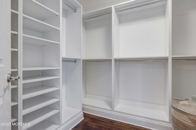 walk in closet with dark wood-type flooring