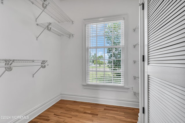 spacious closet featuring wood-type flooring