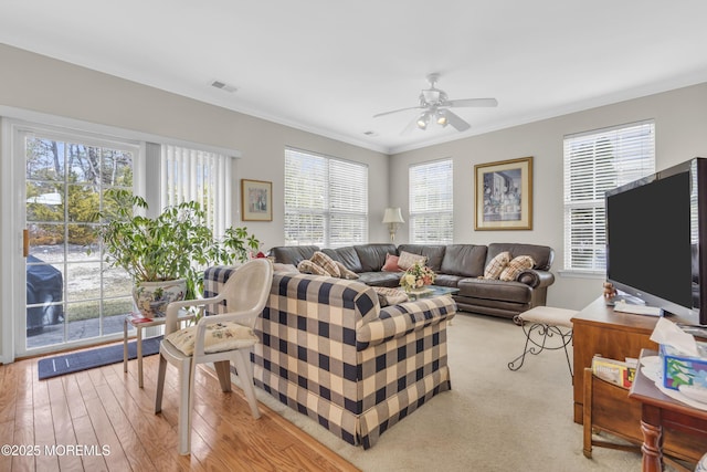 living area featuring light wood finished floors, ceiling fan, visible vents, and crown molding