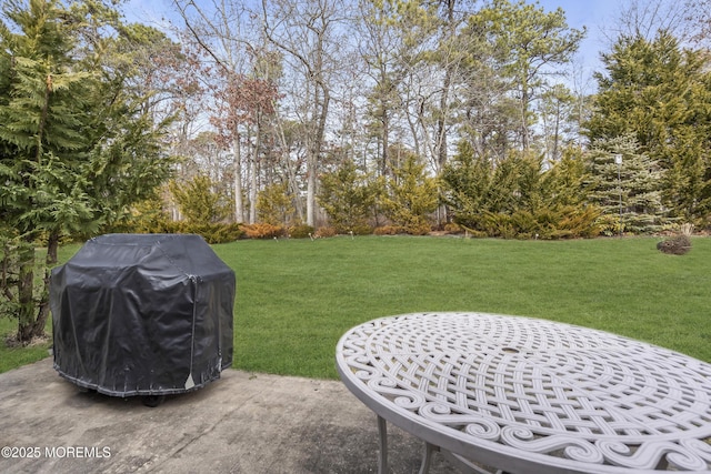 view of yard featuring a patio