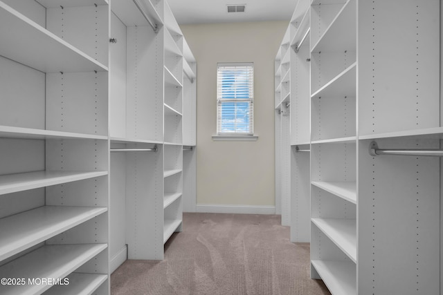 spacious closet with carpet flooring