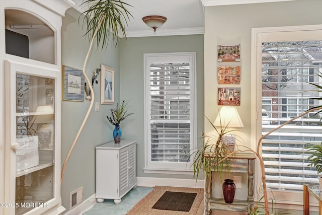 interior space featuring crown molding and a healthy amount of sunlight