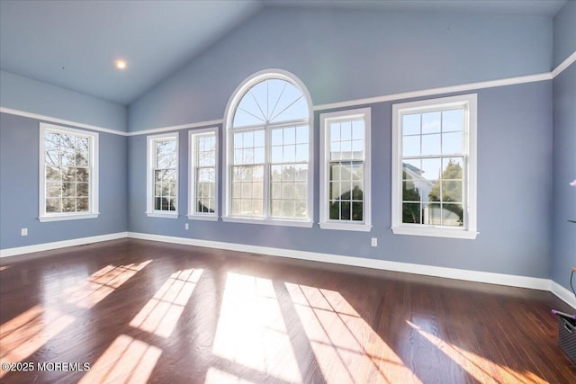 spare room with lofted ceiling and dark hardwood / wood-style flooring