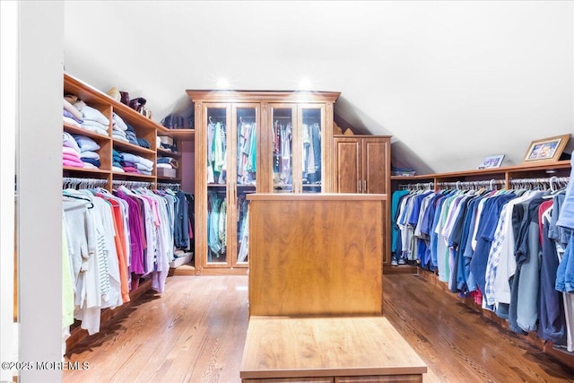 spacious closet featuring lofted ceiling and wood-type flooring