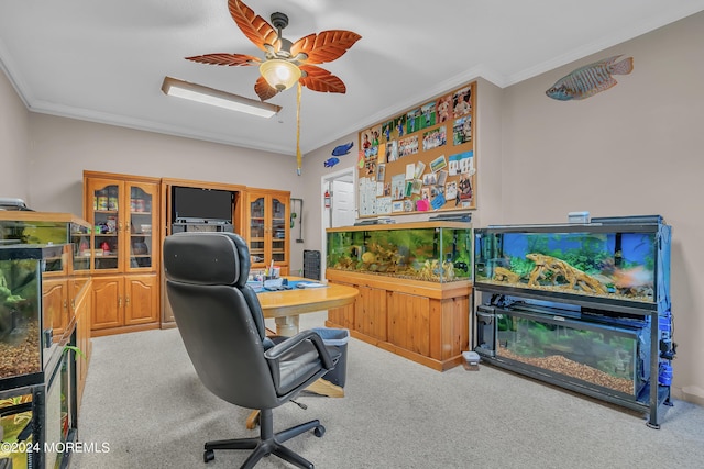 office with ornamental molding, carpet, and ceiling fan