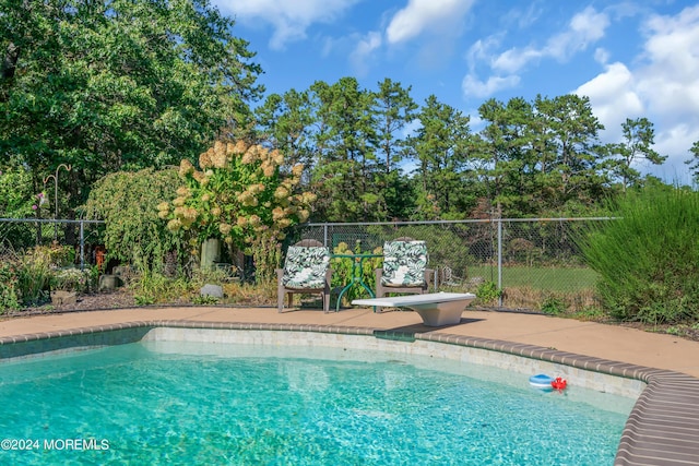 view of swimming pool