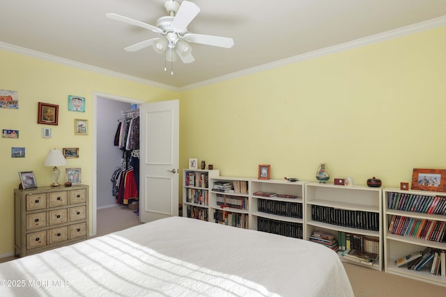 bedroom featuring a closet, ornamental molding, a spacious closet, and carpet