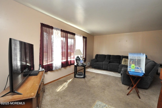 living room featuring carpet