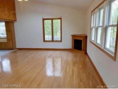 unfurnished living room with light hardwood / wood-style flooring