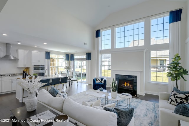 living room featuring dark wood-type flooring, a wealth of natural light, and high vaulted ceiling