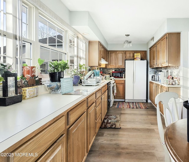 kitchen featuring decorative backsplash, light hardwood / wood-style floors, stainless steel stove, and white fridge