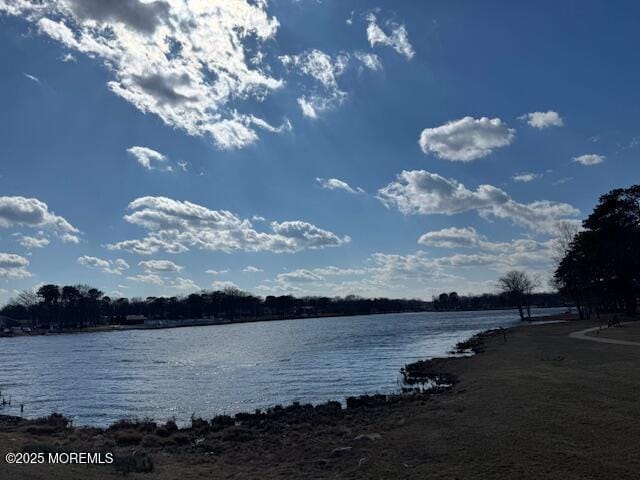 property view of water