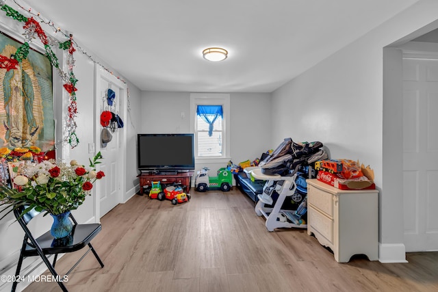 playroom with light hardwood / wood-style floors