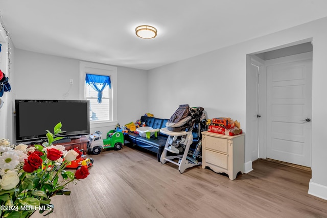 playroom featuring light hardwood / wood-style floors