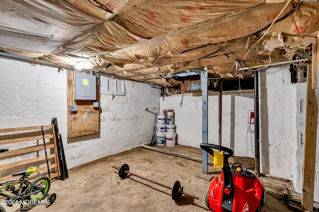 basement featuring electric panel