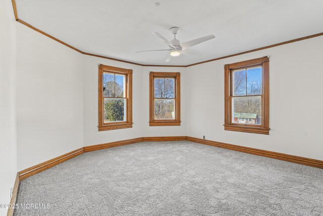 carpeted spare room with ceiling fan, ornamental molding, and plenty of natural light