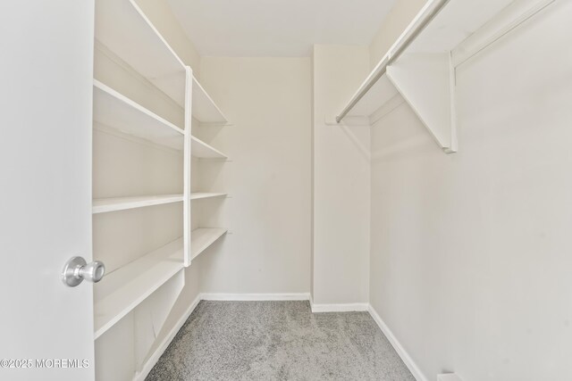 spacious closet featuring light colored carpet