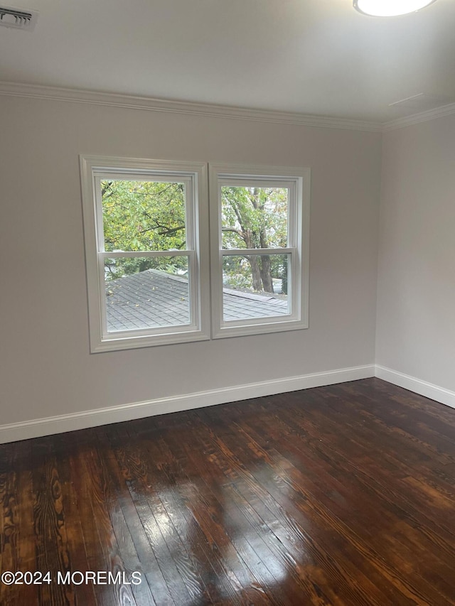 spare room featuring dark wood-type flooring, a wealth of natural light, and ornamental molding