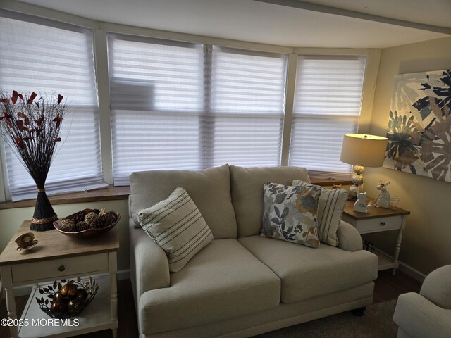 2300 Massachusetts Ave Unit 42, Toms River, NJ 08755 - living room featuring plenty of natural light