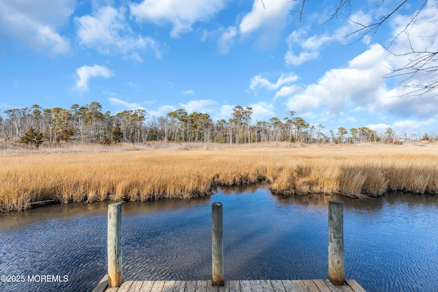 view of dock with a water view