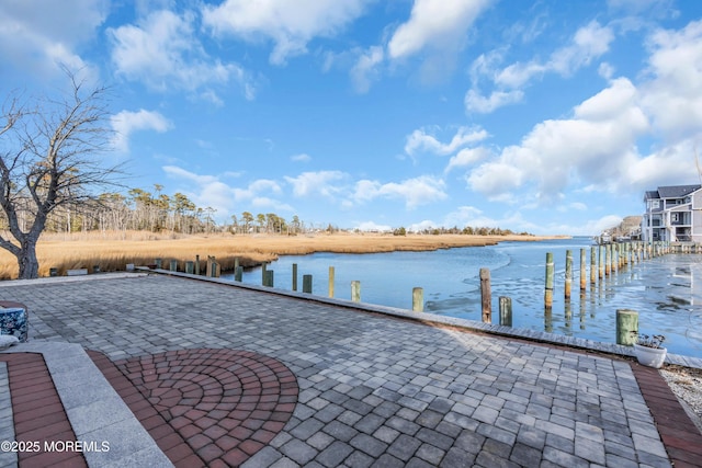 dock area with a water view