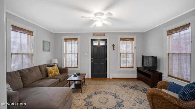 living room with ceiling fan, ornamental molding, and wood-type flooring