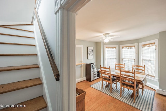 dining room with ceiling fan and light hardwood / wood-style floors