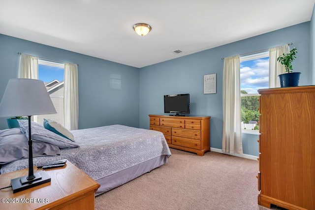 carpeted bedroom with multiple windows