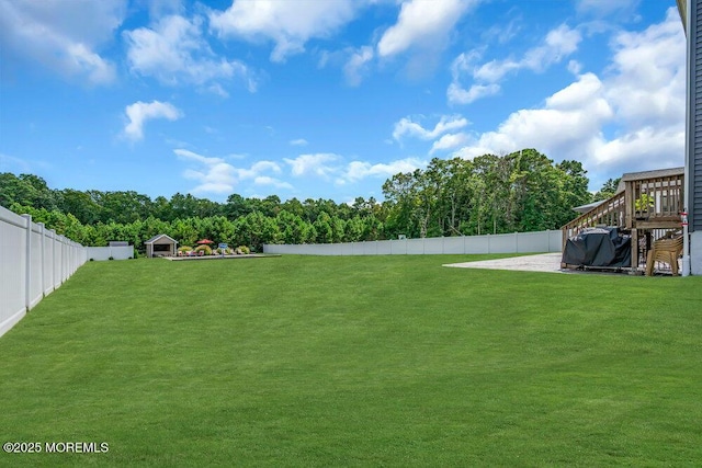 view of yard featuring a patio area