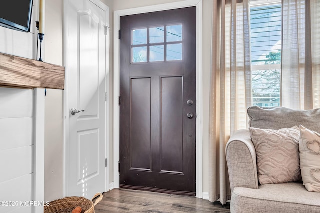 foyer entrance featuring hardwood / wood-style floors and plenty of natural light