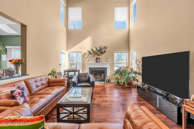 living room featuring a skylight, a fireplace, and wood finished floors