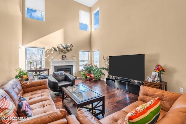 living area featuring a warm lit fireplace and wood finished floors