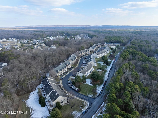 aerial view with a wooded view