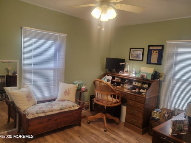 office area featuring ceiling fan and light hardwood / wood-style flooring