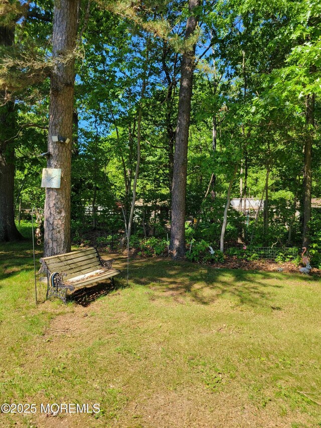 14 Douglas Dr, Jackson, NJ 08527 - view of grassy yard
