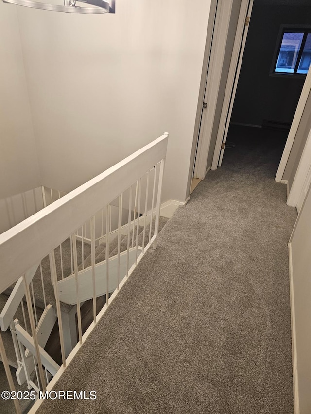 hallway with carpet