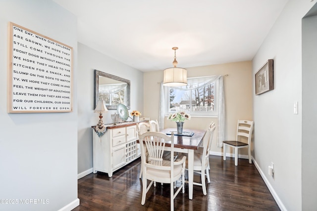 dining room featuring dark hardwood / wood-style flooring