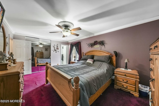 bedroom with ornamental molding, a closet, ceiling fan, and dark colored carpet