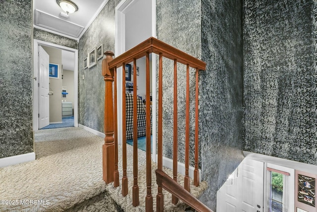 corridor featuring crown molding and carpet flooring