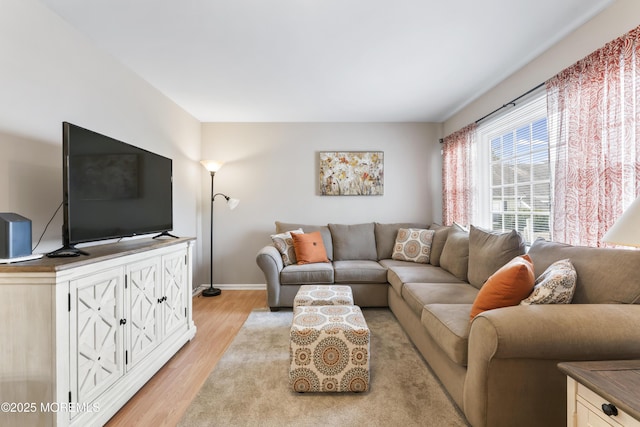 living room featuring light wood-type flooring