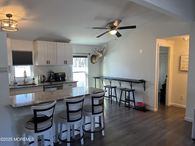 kitchen featuring dishwasher, sink, white cabinets, light stone counters, and dark wood-type flooring