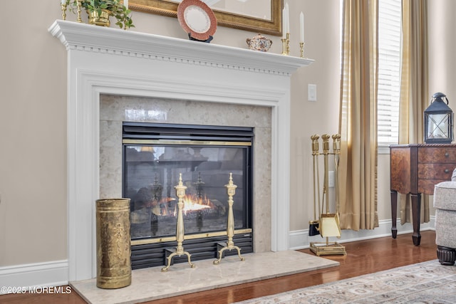 room details with hardwood / wood-style flooring and a premium fireplace