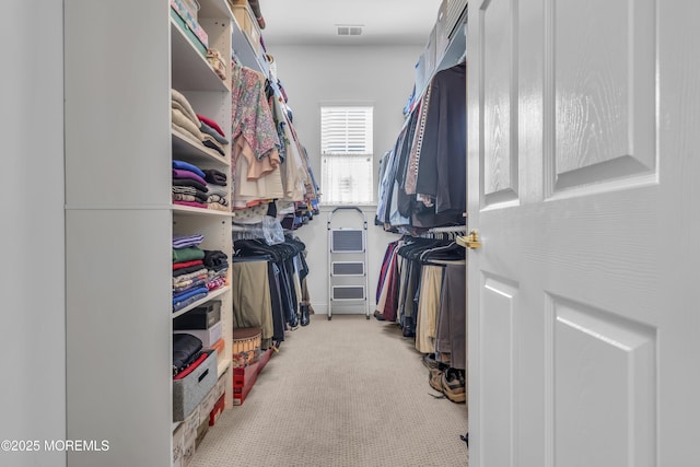 walk in closet with light carpet