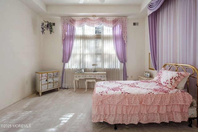 carpeted bedroom with a tray ceiling