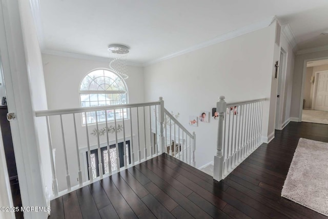 corridor featuring an inviting chandelier, crown molding, and dark hardwood / wood-style floors