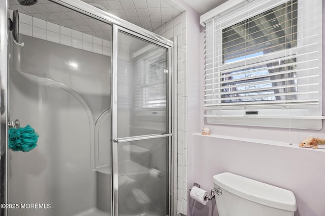 bathroom with toilet and an enclosed shower