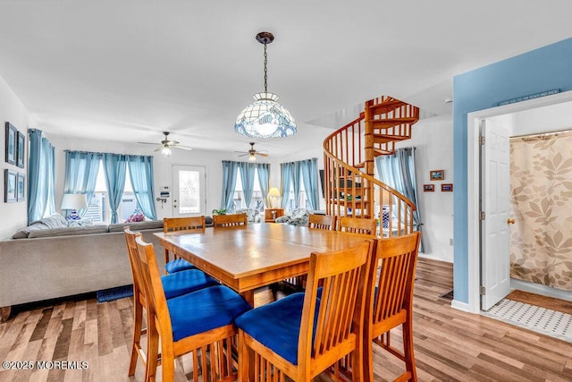 dining area featuring light hardwood / wood-style flooring